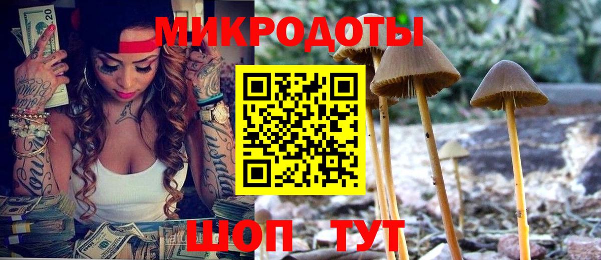 Санкт-Петербург  Псилоцибиновые грибы прущие грибы  Вход с VPN 